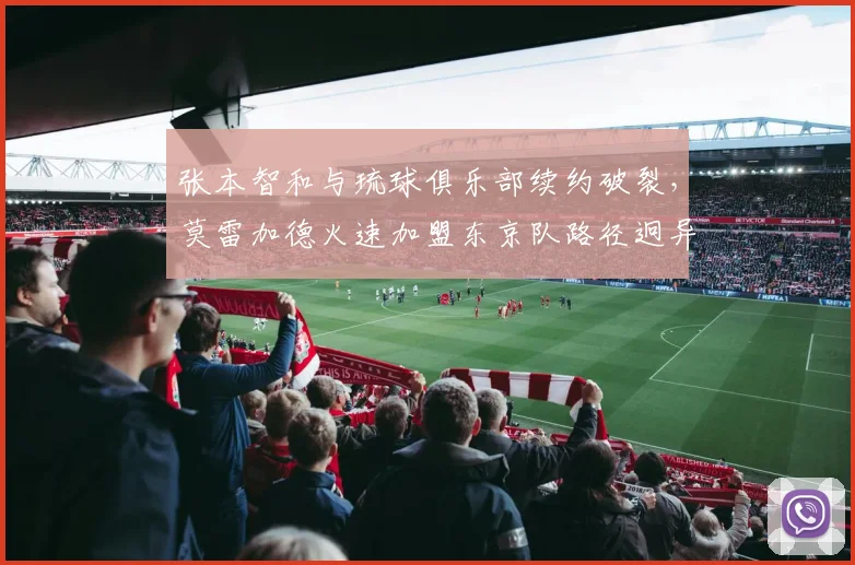 张本智和与琉球俱乐部续约破裂,莫雷加德火速加盟东京队路径迥异