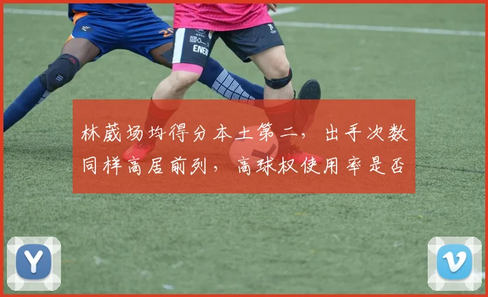 林葳场均得分本土第二,出手次数同样高居前列,高球权使用率是否值得争议